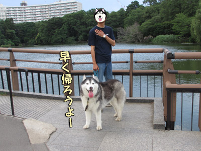 井の頭公園