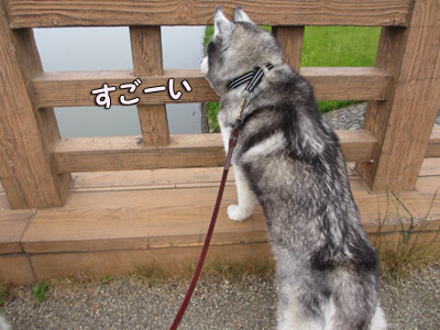 トリュフ