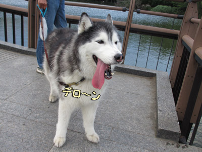 井の頭公園