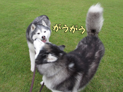千波公園