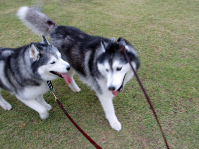 千波公園