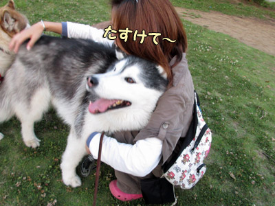 ポトフ