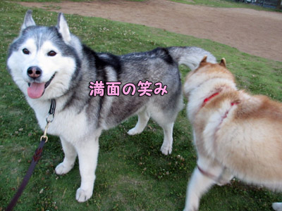 笑顔のトリュフ