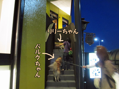居酒屋へ
