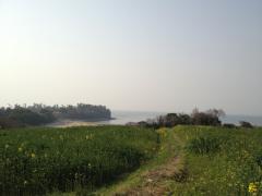 IMG_2698.jpg