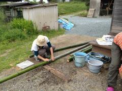 IMG_2937.jpg