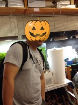 fc2blog_20140930082033b01.jpg