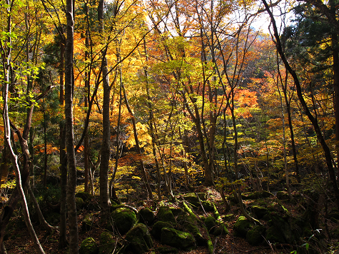 B121018-04_20130211234421.jpg