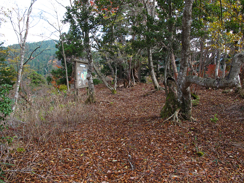 B121018-11.jpg