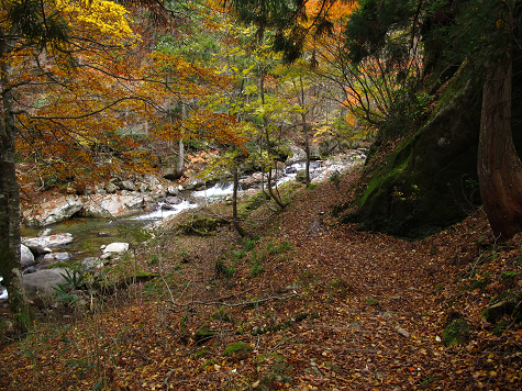 B121018-12.jpg