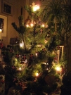 jolatre-2013-1.jpg
