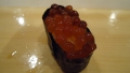 DSC00711.jpg