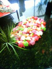201109111406000.jpg