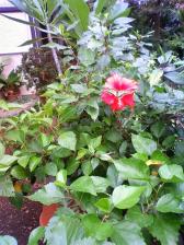 201109301057000.jpg