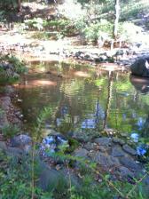 201110071422001.jpg