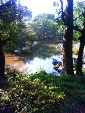 201110071437000.jpg
