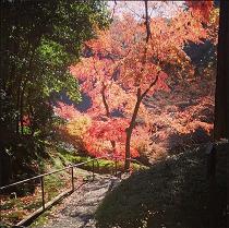 131130_石山寺の紅葉_ss