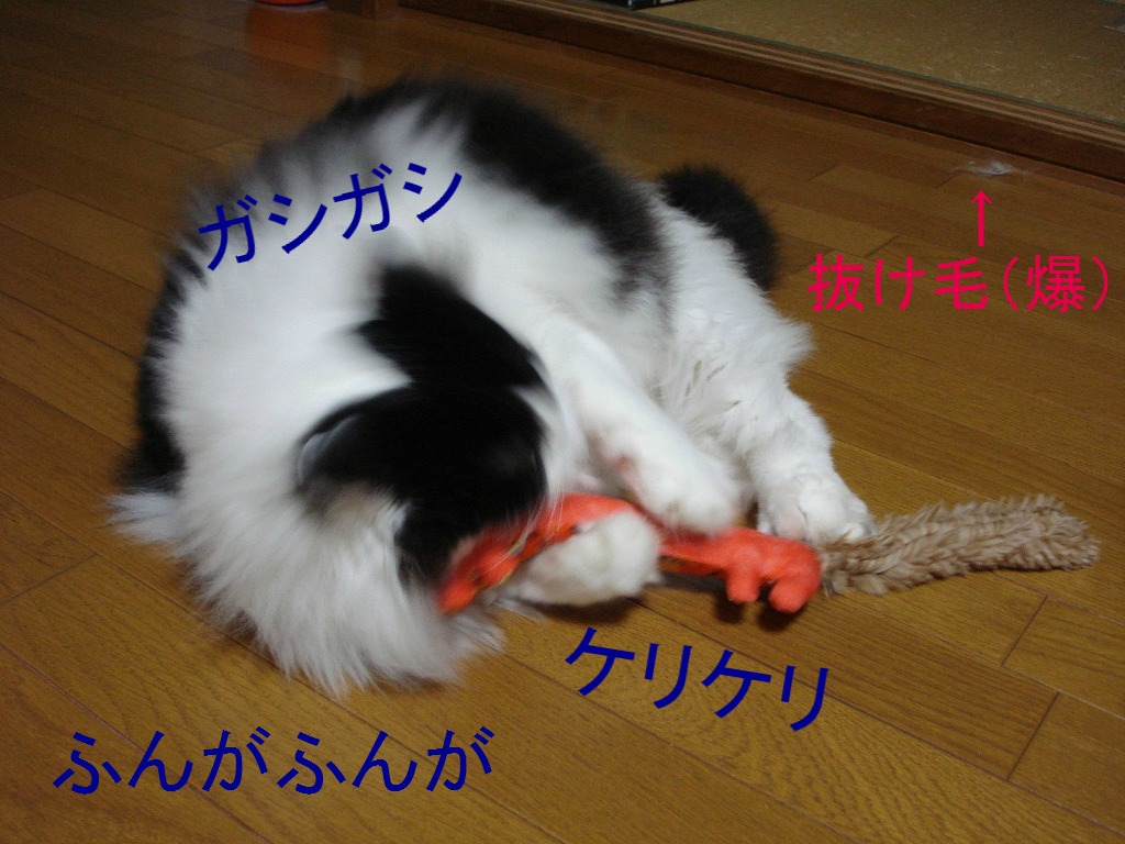 DSC08024.jpg