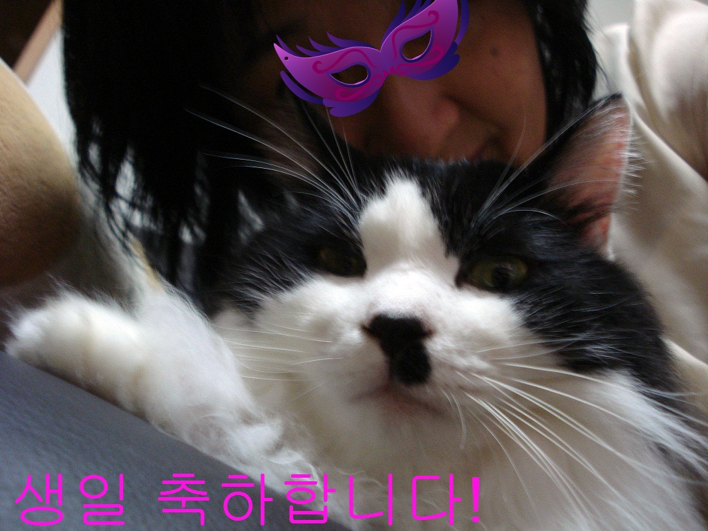 DSC08195.jpg