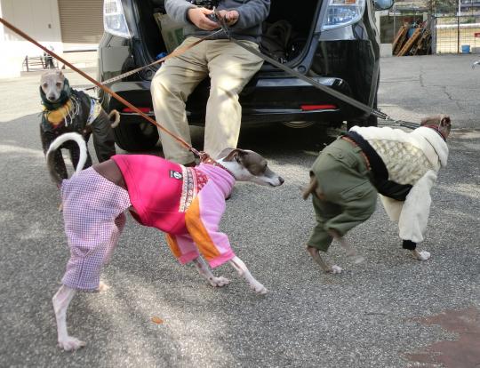 うわっ!