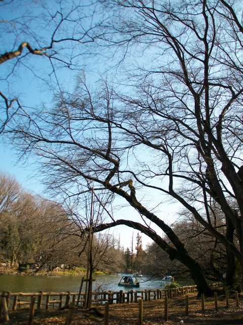 DSC_6458s.jpg
