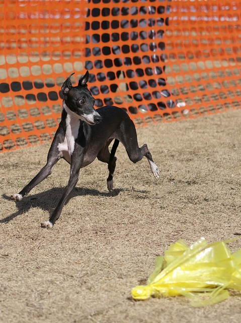 DSC_6672s.jpg