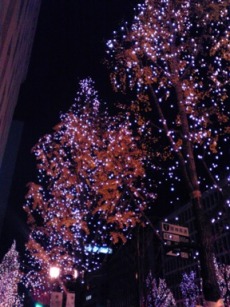 写真2-1