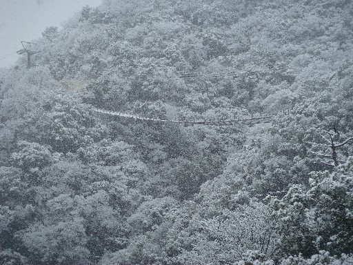 雪のつり橋jpg