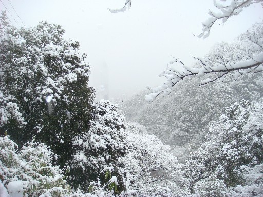 雪山DSC01710