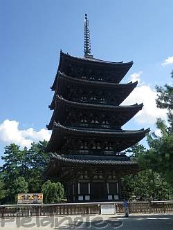 奈良公園の興福寺の五重塔