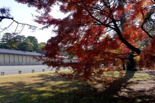 131130gosho002.jpg