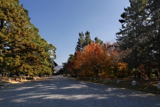 131130gosho004.jpg