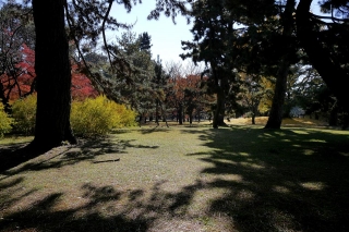 131130gosho007.jpg