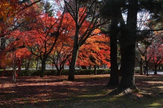 131130gosho009.jpg