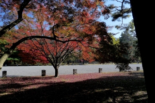 131130gosho012.jpg