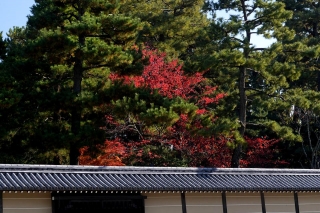 131130gosho013.jpg