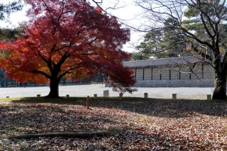 131130gosho014.jpg