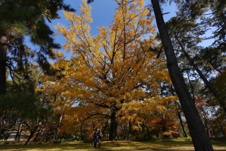 131130gosho016.jpg