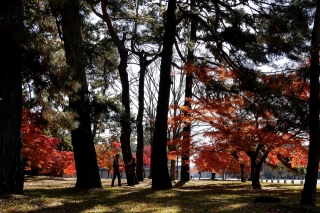 131130gosho017.jpg