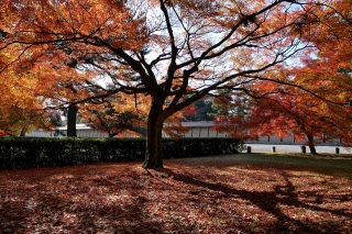 131130gosho019.jpg