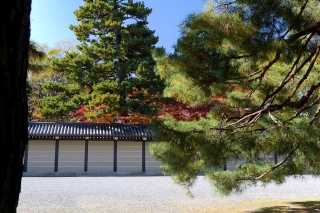 131130gosho021.jpg