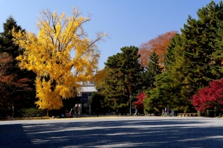 131130gosho025.jpg