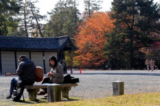 131130gosho026.jpg