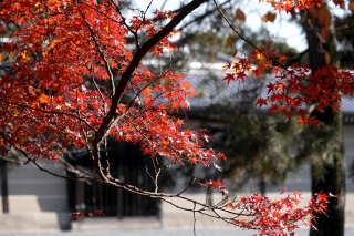 131130gosho027.jpg