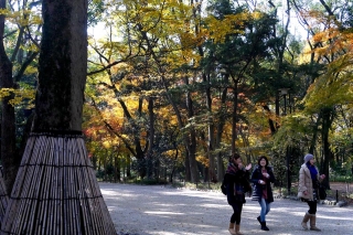 131204shimogamojinja005.jpg