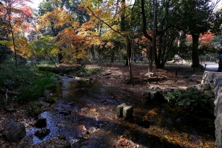 131204shimogamojinja007.jpg