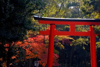 131204shimogamojinja008.jpg