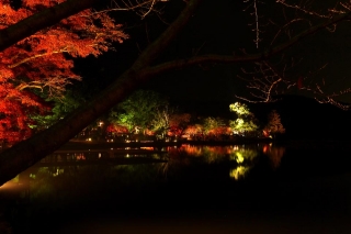 131206daikakuji002.jpg