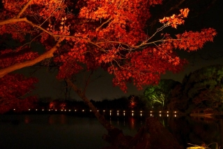 131206daikakuji003.jpg
