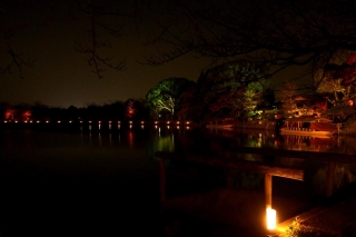 131206daikakuji004.jpg